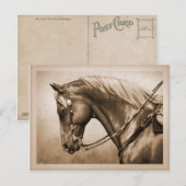 Westerne Ranch Horse Old Photo Sepia Briefkaart (Voorkant / Achterkant)