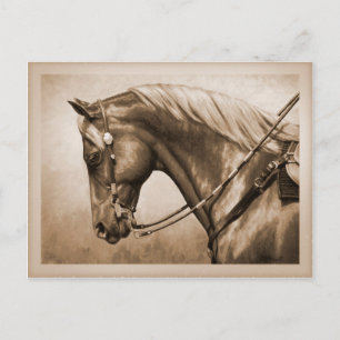 Westerne Ranch Horse Old Photo Sepia Briefkaart