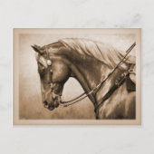 Westerne Ranch Horse Old Photo Sepia Briefkaart (Voorkant)