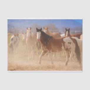 Westerne Ranch Horses Tissuepapier