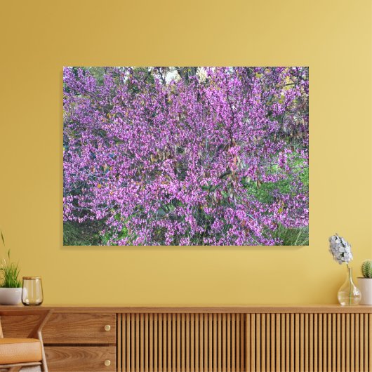 Westerne Redbud Canvas Afdruk (Insitu (Woonkamer))