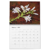 Westerne Reworks 2024 kalender (Feb 2027)