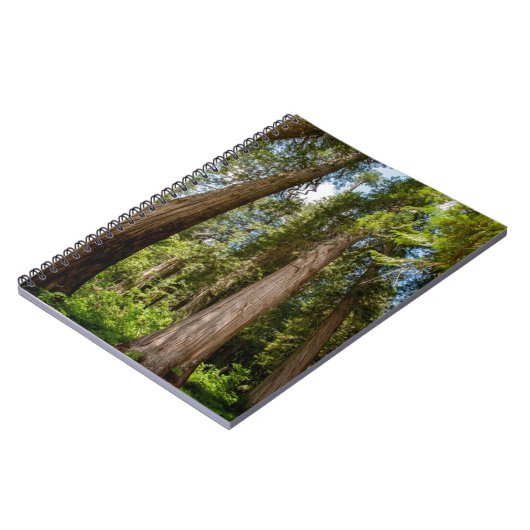 Westerne rode cedar-bomen notitieboek (Linkerzijde)