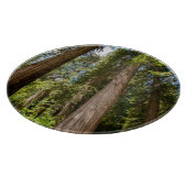 Westerne rode cedar-bomen snijplank (Hoek)