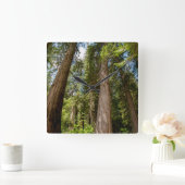 Westerne rode cedar-bomen vierkante klok (Huis)