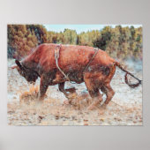 Westerne Rodeo Bull Rustic Country Cowboy  Poster (Voorkant)
