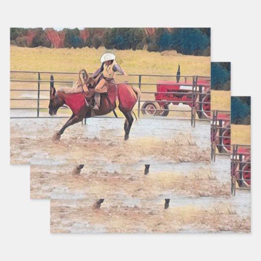 Westerne Rodeo Country Horse Riding Art Inpakpapier Vel (Set)