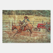 Westerne rodeo Country Horse Riding Texture Inpakpapier Vel (Voorkant 3)