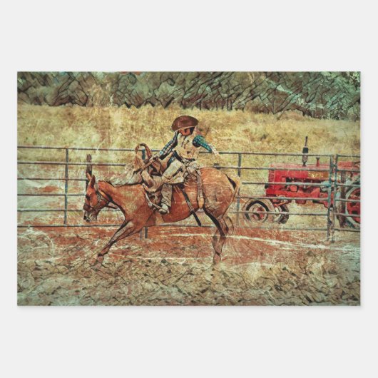 Westerne rodeo Country Horse Riding Texture Inpakpapier Vel (Voorkant)