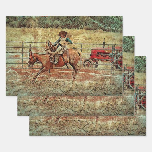 Westerne rodeo Country Horse Riding Texture Inpakpapier Vel (Set)