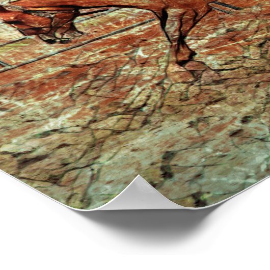 Westerne rodeo Country Horse Riding Texture Poster (Hoek)