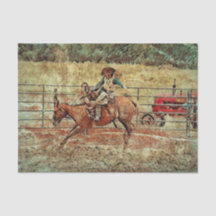 Westerne rodeo Country Horse Riding Texture