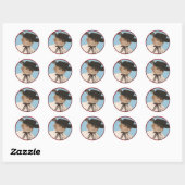 Westerne Rodeo Cowboy Stickers gaan naar Texan (Vel)