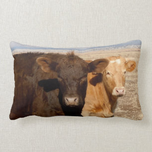 Westerne Rundveestkoeien - Friends Rural Scene Kussen