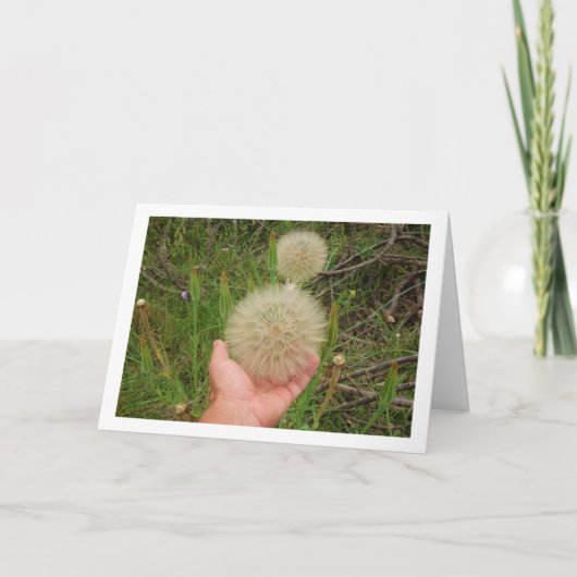 Westerne Salsify Planten Kaart (Voorkant)