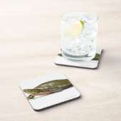 Westerne schildpad (Chrysemys picta bellii), Bier Onderzetter (Rechterzijde)