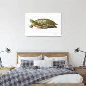 Westerne schildpad (Chrysemys picta bellii), Canvas Afdruk (Insitu (Slaapkamer))