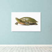 Westerne schildpad (Chrysemys picta bellii), Canvas Afdruk (Insitu (Houten vloer))
