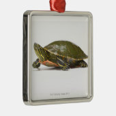 Westerne schildpad (Chrysemys picta bellii), Metalen Ornament (Rechts)