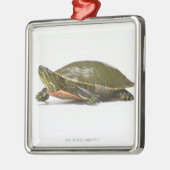Westerne schildpad (Chrysemys picta bellii), Metalen Ornament (Links)