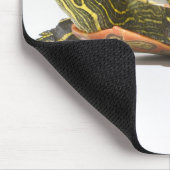 Westerne schildpad (Chrysemys picta bellii), Muismat (Hoek)