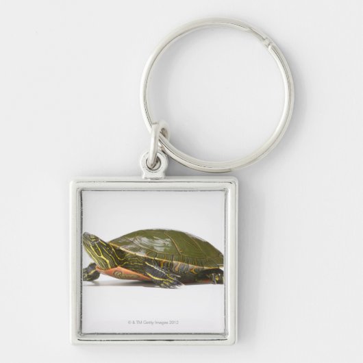 Westerne schildpad (Chrysemys picta bellii), Sleutelhanger (Voorkant)