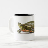 Westerne schildpad (Chrysemys picta bellii), Tweekleurige Koffiemok (Voorkant links)