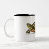 Westerne schildpad (Chrysemys picta bellii), Tweekleurige Koffiemok (Links)