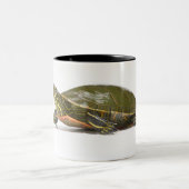 Westerne schildpad (Chrysemys picta bellii), Tweekleurige Koffiemok (Center)