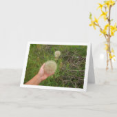 Westerne schorseneer Planten Kaart (Gele Bloem)