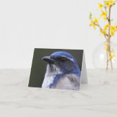 Westerne schrobben-Vlaamse gaai - Joe Sweeney - Kaart (Gele Bloem)