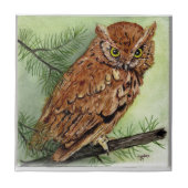 Westerne schroevendraaien tegeltje (Voorkant)