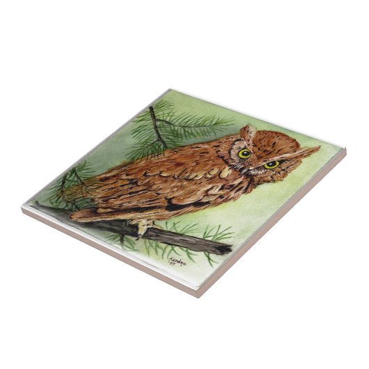 Westerne schroevendraaien tegeltje (Zijkant)