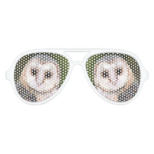 Westerne schuur Uil Grappige Zonnebril (Voorkant)