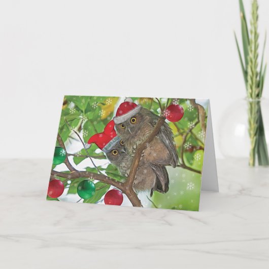 Westerne Screech Uilen Kerst Feestdagen Kaart (Voorkant)