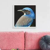 Westerne Scrub Jay Canvas Afdruk (Insitu (Woonkamer))