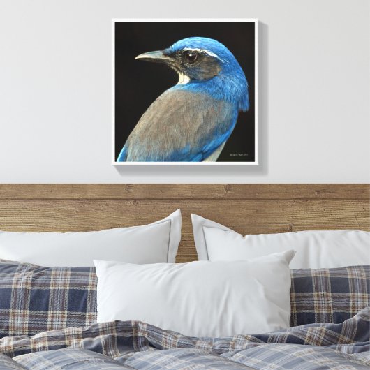 Westerne Scrub Jay Canvas Afdruk (Insitu (Slaapkamer))