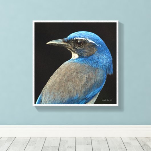 Westerne Scrub Jay Canvas Afdruk (Insitu (Houten vloer))