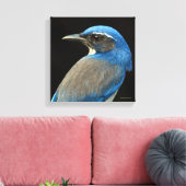 Westerne Scrub Jay Canvas Afdruk (Insitu (Woonkamer))