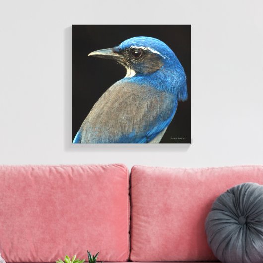 Westerne Scrub Jay Canvas Afdruk (Insitu (Woonkamer))