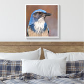 Westerne Scrub Jay Canvas Afdruk (Insitu (Slaapkamer))