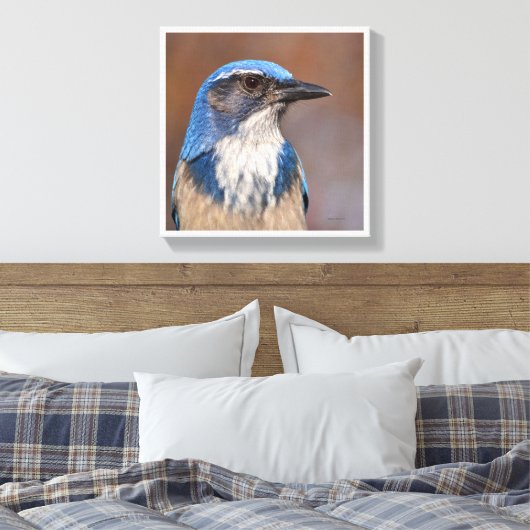Westerne Scrub Jay Canvas Afdruk (Insitu (Slaapkamer))