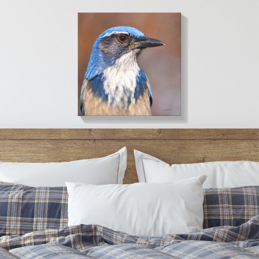 Westerne Scrub Jay Canvas Afdruk (Insitu (Slaapkamer))