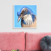 Westerne Scrub Jay Canvas Afdruk (Insitu (Woonkamer))