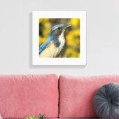 Westerne Scrub Jay Canvas Afdruk (Insitu (Woonkamer))