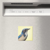 Westerne Scrub Jay Magnet (Insitu (Vaatwasser))