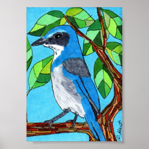 Westerne scrub Jay Mini Folk Art Poster