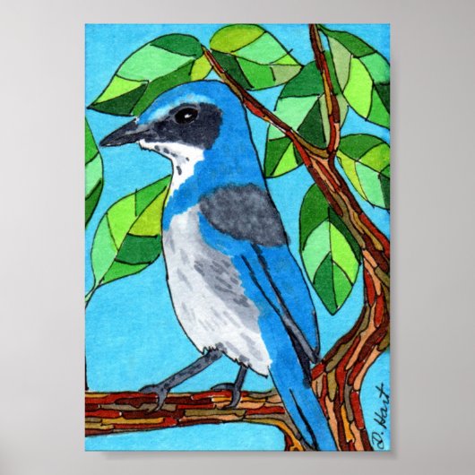 Westerne scrub Jay Mini Folk Art Poster (Voorkant)