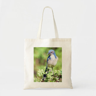 Westerne Scrub Jay Tote Bag