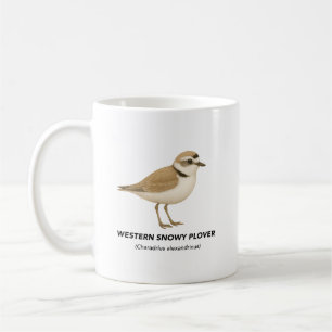 Westerne Snowy Plover - Vogels van Californië Koffiemok